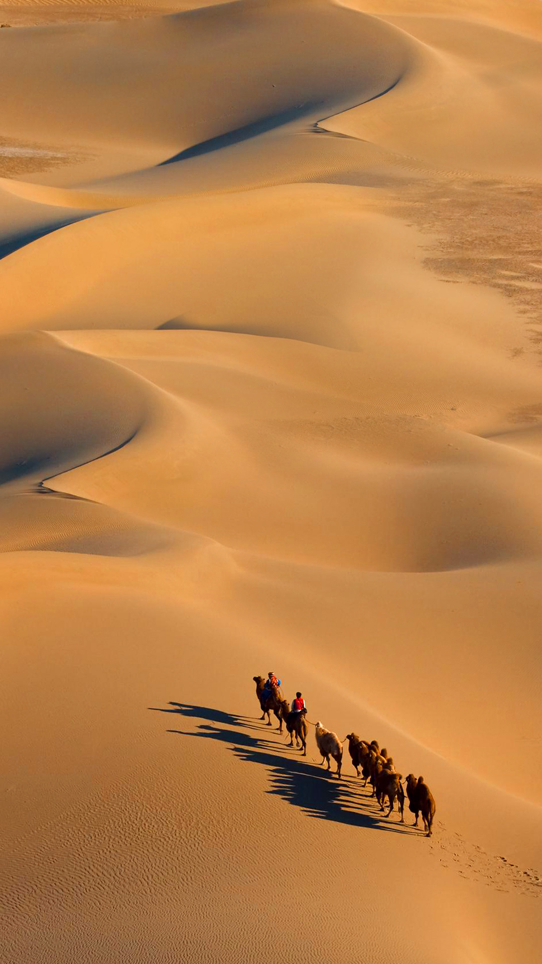 Desert Journy
