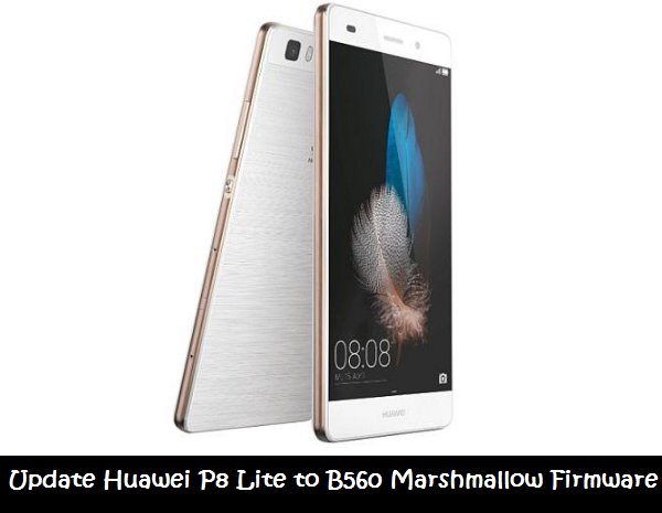 Update Huawei P8 Lite to B560 Marshmallow Firmware