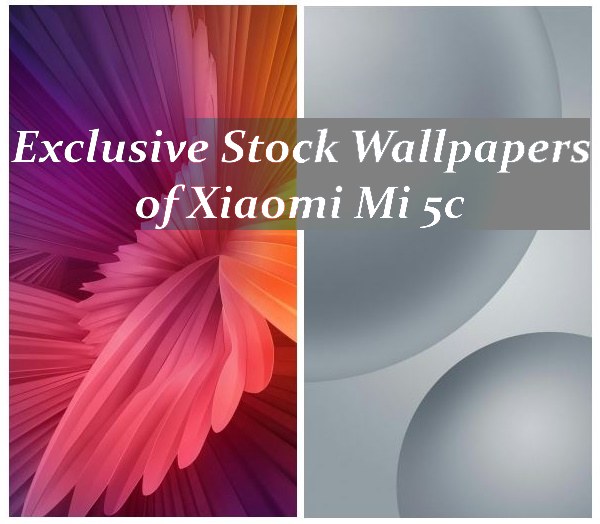 Exclusive Stock Wallpapers of Xiaomi Mi 5c in HDQ